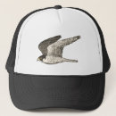 Search for hawk bird hats Birds