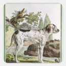 Search for natural history stickers Engraving