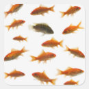 Search for topics stickers Square