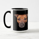Search for staffordshire bull terrier mugs Staffy