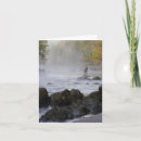Search for fishing pole cards Fly
