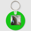 Search for nom nom nom accessories Cat