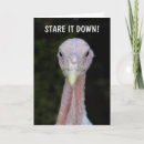 Search for humorous get well cards Patient