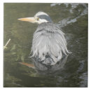 Search for heron tiles Great blue heron