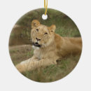 Search for lioness christmas tree decorations Wildlife