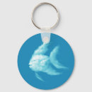 Search for angelfish accessories Blue