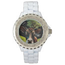 Search for moo watches Animal