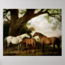 Search for george art Stubbs
