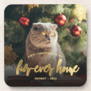 Search for pet photo coasters Keepsake