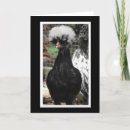 Search for chicken puns cards Cute