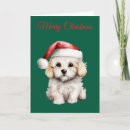 Search for bichon christmas cards Cute