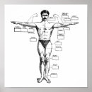 Search for strongman posters Vintage