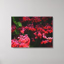 Search for red flower canvas prints Pink