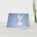 Search for dove blank cards White