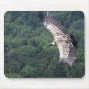 Search for gryphons mouse mats Griffon