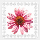 Search for coneflowers stickers Nature