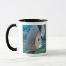 Search for angelfish mugs Full length