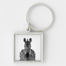 Search for plan on key rings Photography