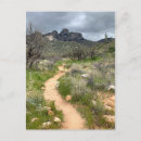 Search for mountain state postcards Arizona