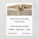 Search for cute cat flyers Pet care