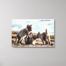 Search for wild fox canvas prints Wildlife