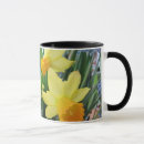 Search for dafodil Flowers