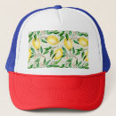 Search for lemon fruit hats Food