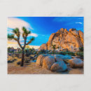Search for mojave desert postcards Cactus