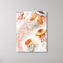Search for biology canvas prints Ernst haeckel