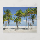 Search for key biscayne postcards Beach