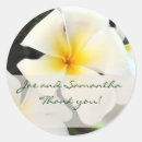 Search for white plumeria stickers Flower