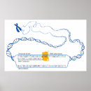 Search for rna posters Transcription