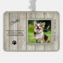 Search for pet supplies Sympathy