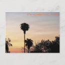 Search for phoenix postcards Sunset
