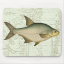 Search for stream electronics Fishing