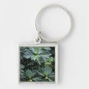Search for ie key rings Tropical