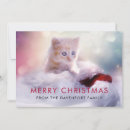 Search for kitten christmas cards Cute