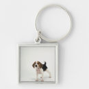 Search for beagle puppy key rings Animal