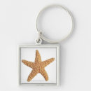 Search for sea life key rings Sealife creatures