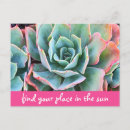Search for finding postcards Photography