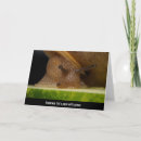 Search for close up cards Nature