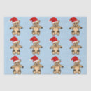 Search for teddy bears tissue paper Pattern