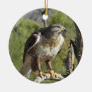 Search for red tail hawk christmas tree decorations Nature