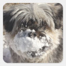 Search for dog nose stickers Funny