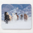 Search for horse mouse mats running