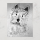 Search for westie birthday cards Highland