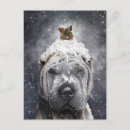 Search for pei postcards Pet