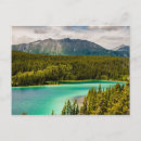 Search for whitehorse postcards Landscape