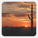 Search for arizona landscape stickers Sunset