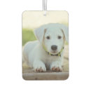 Search for pet photo car air fresheners Design your own